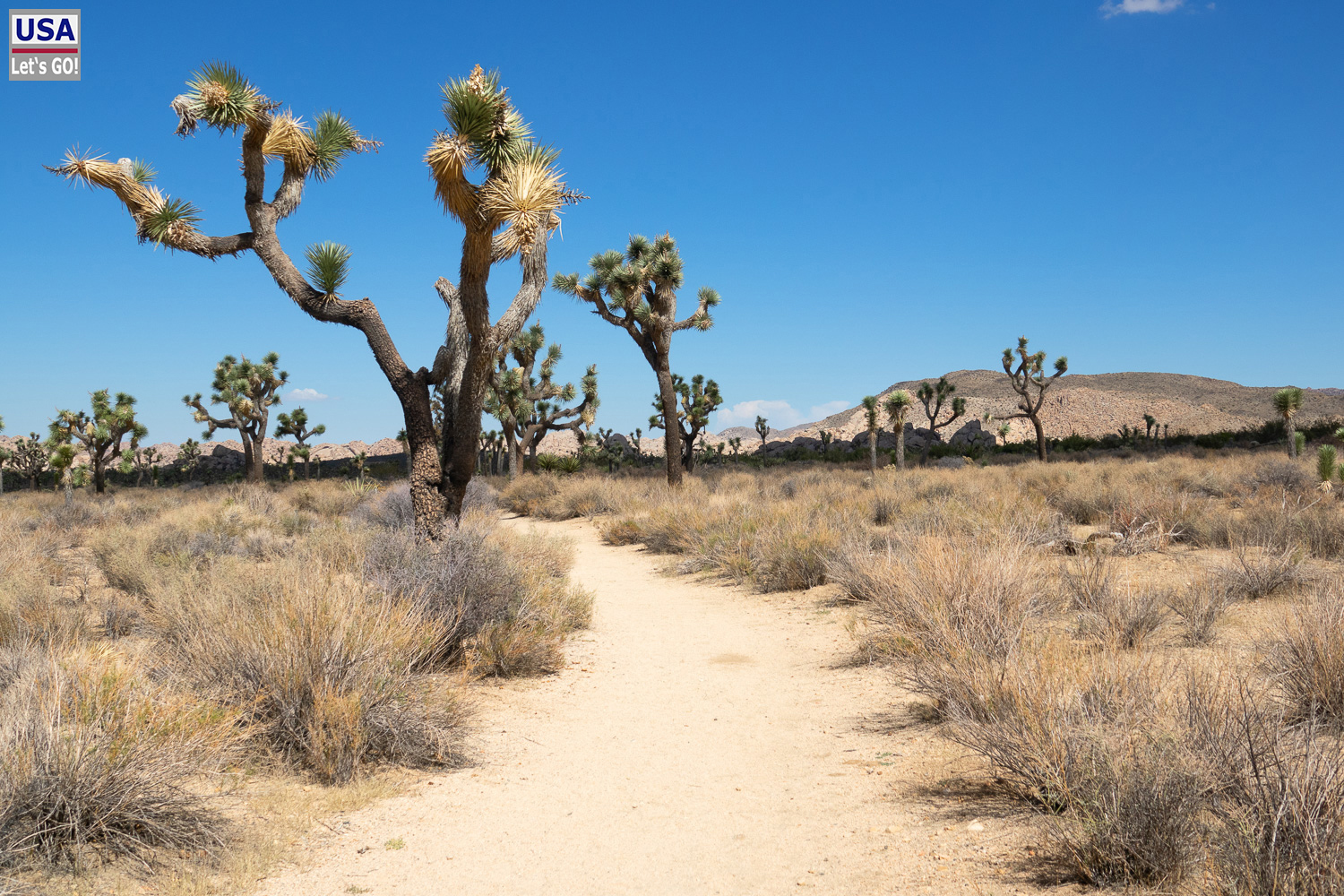 High Desert Tour 2022