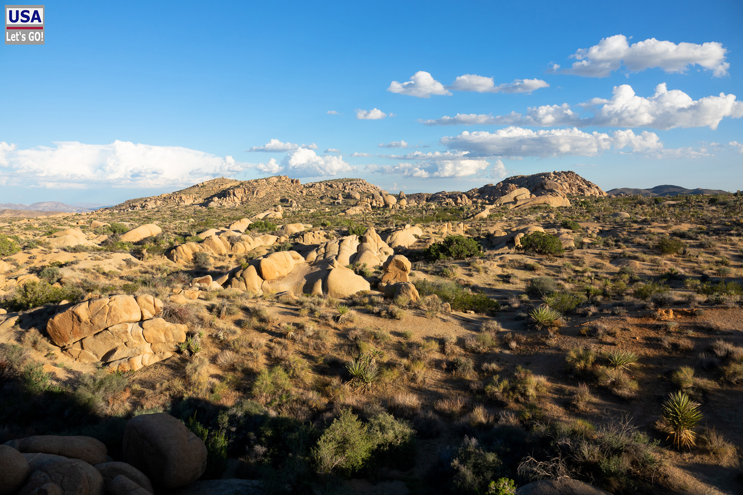 High Desert Tour 2022