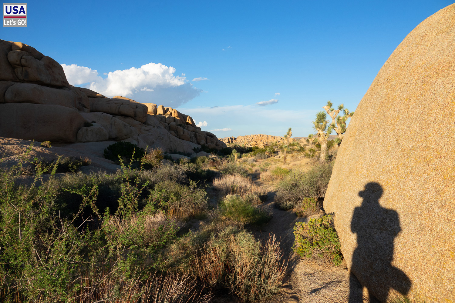 High Desert Tour 2022