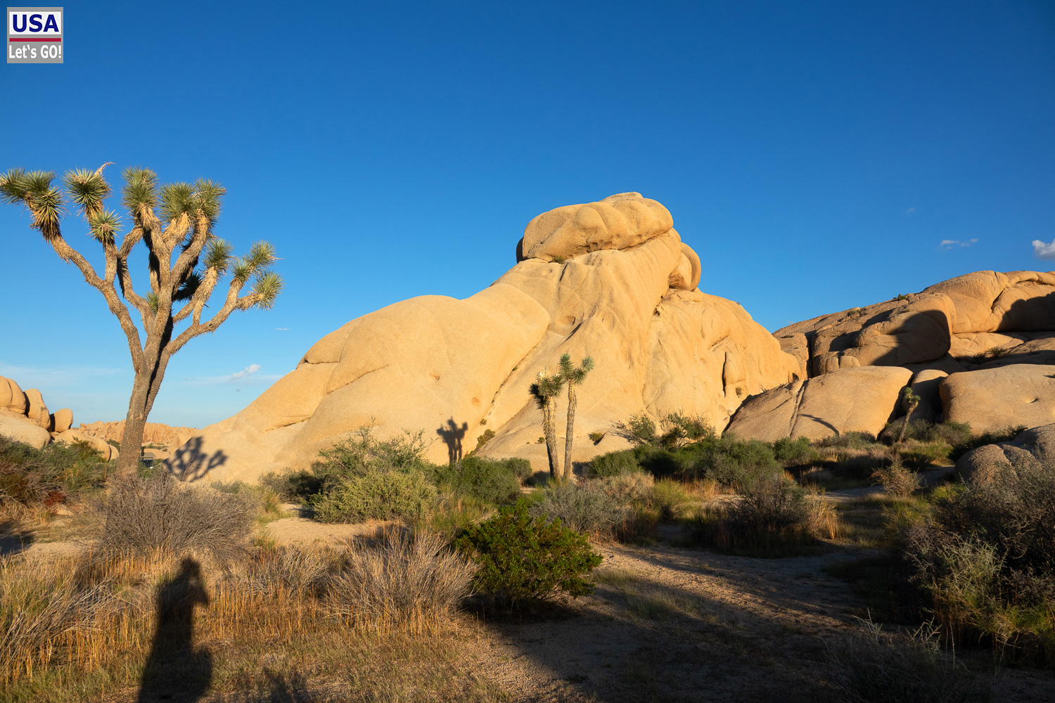 High Desert Tour 2022