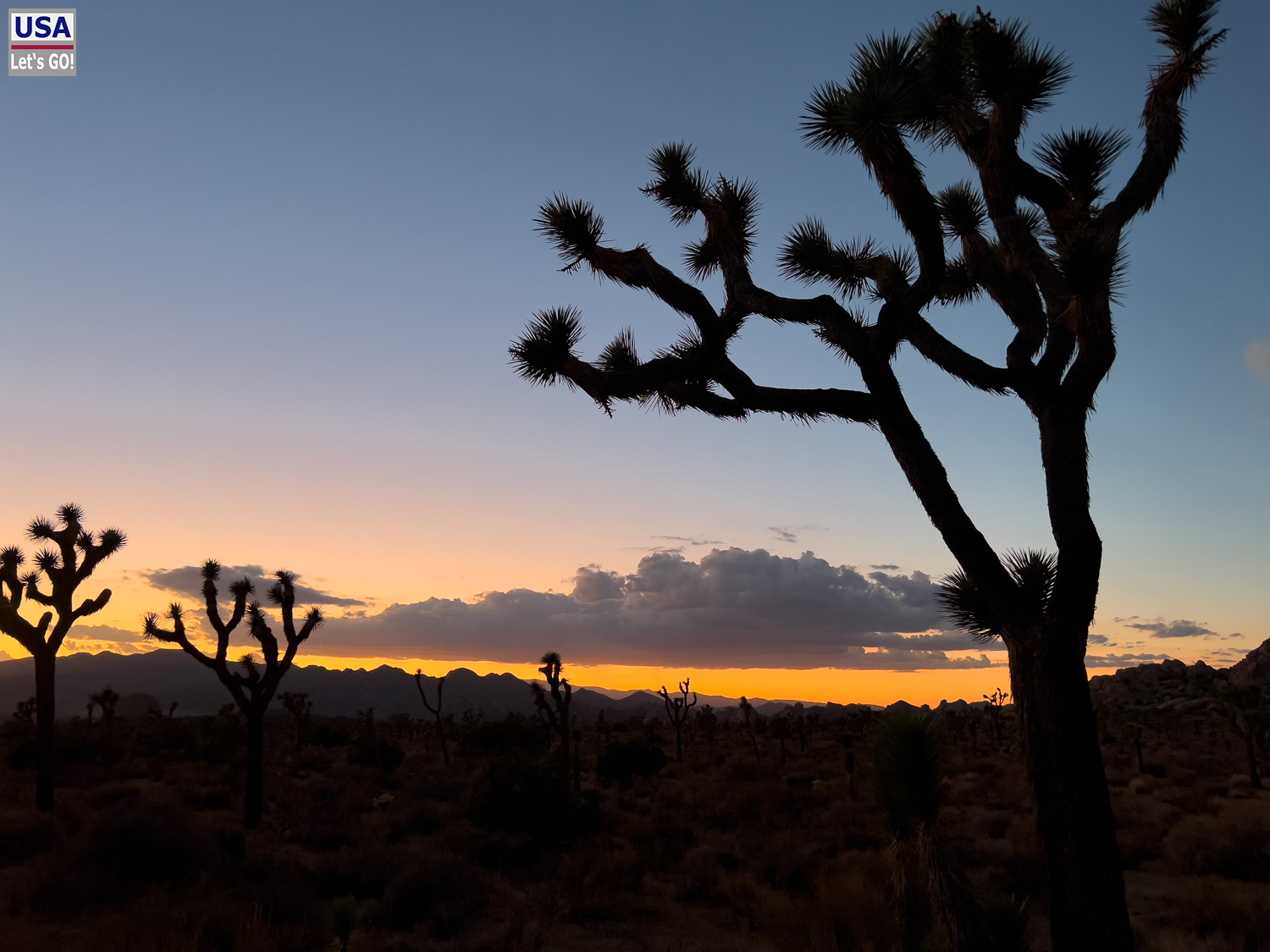 High Desert Tour 2022