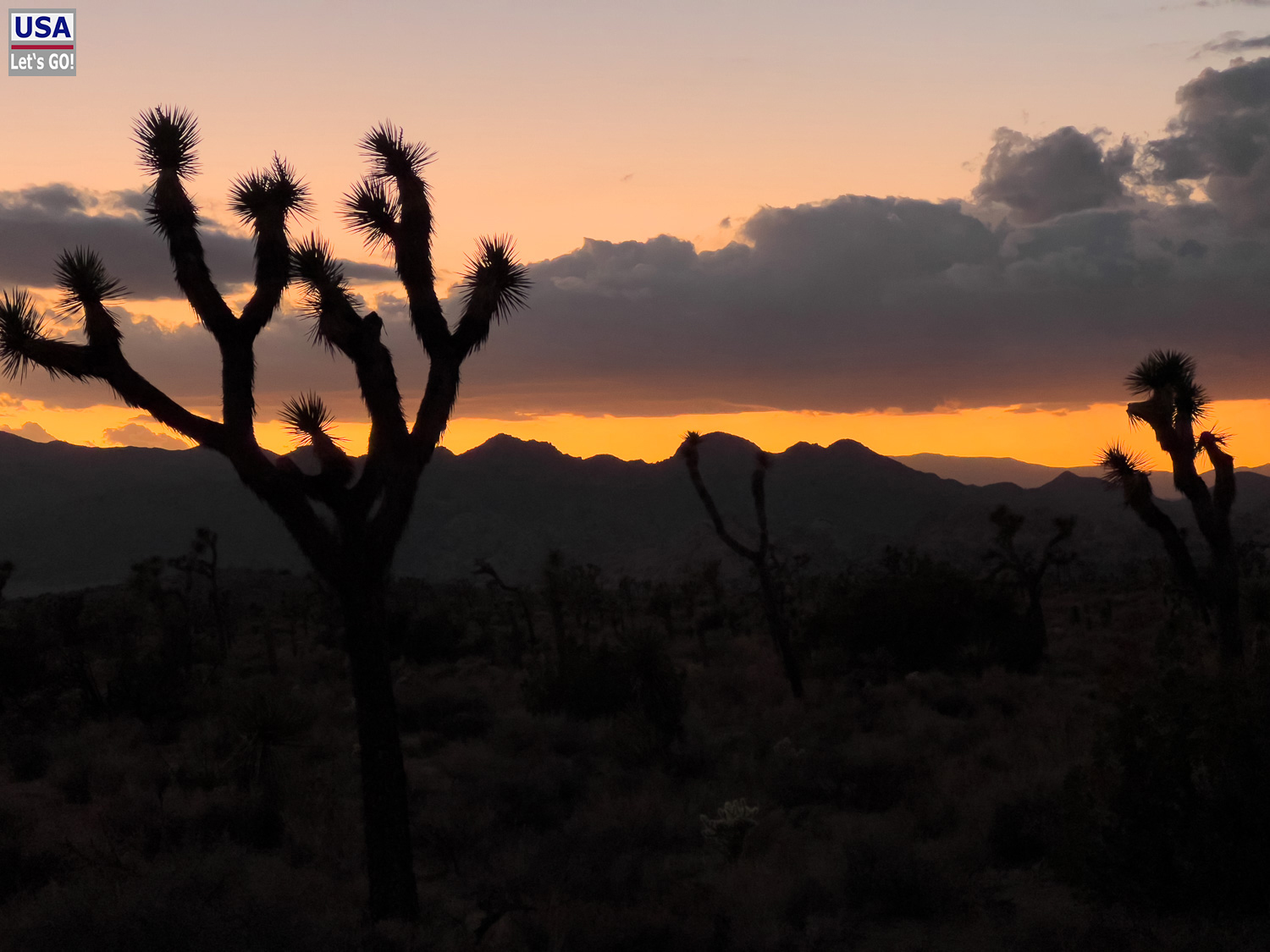 High Desert Tour 2022