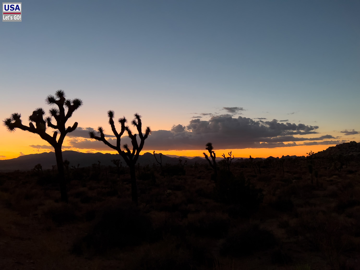 High Desert Tour 2022