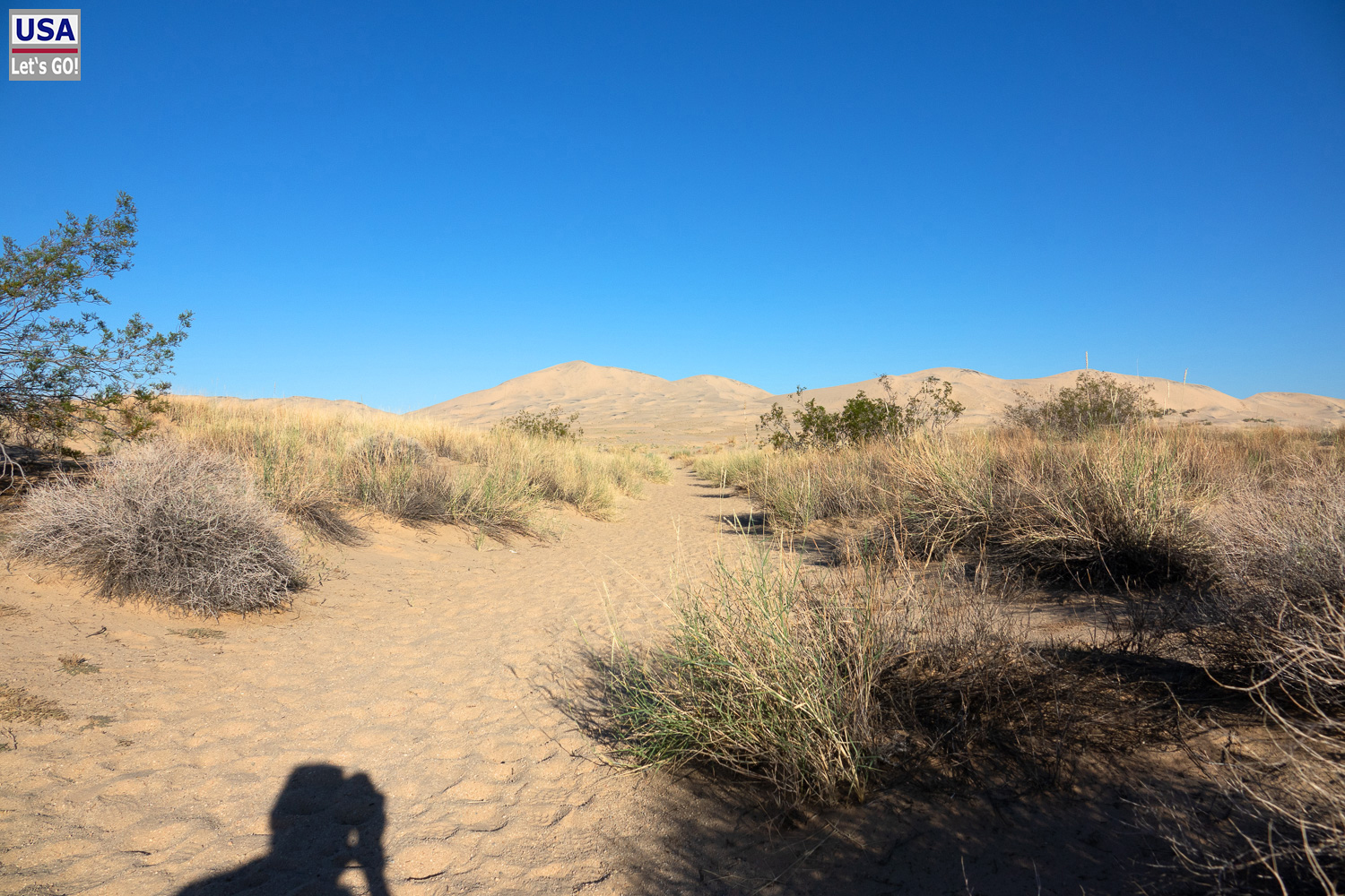 High Desert Tour 2022