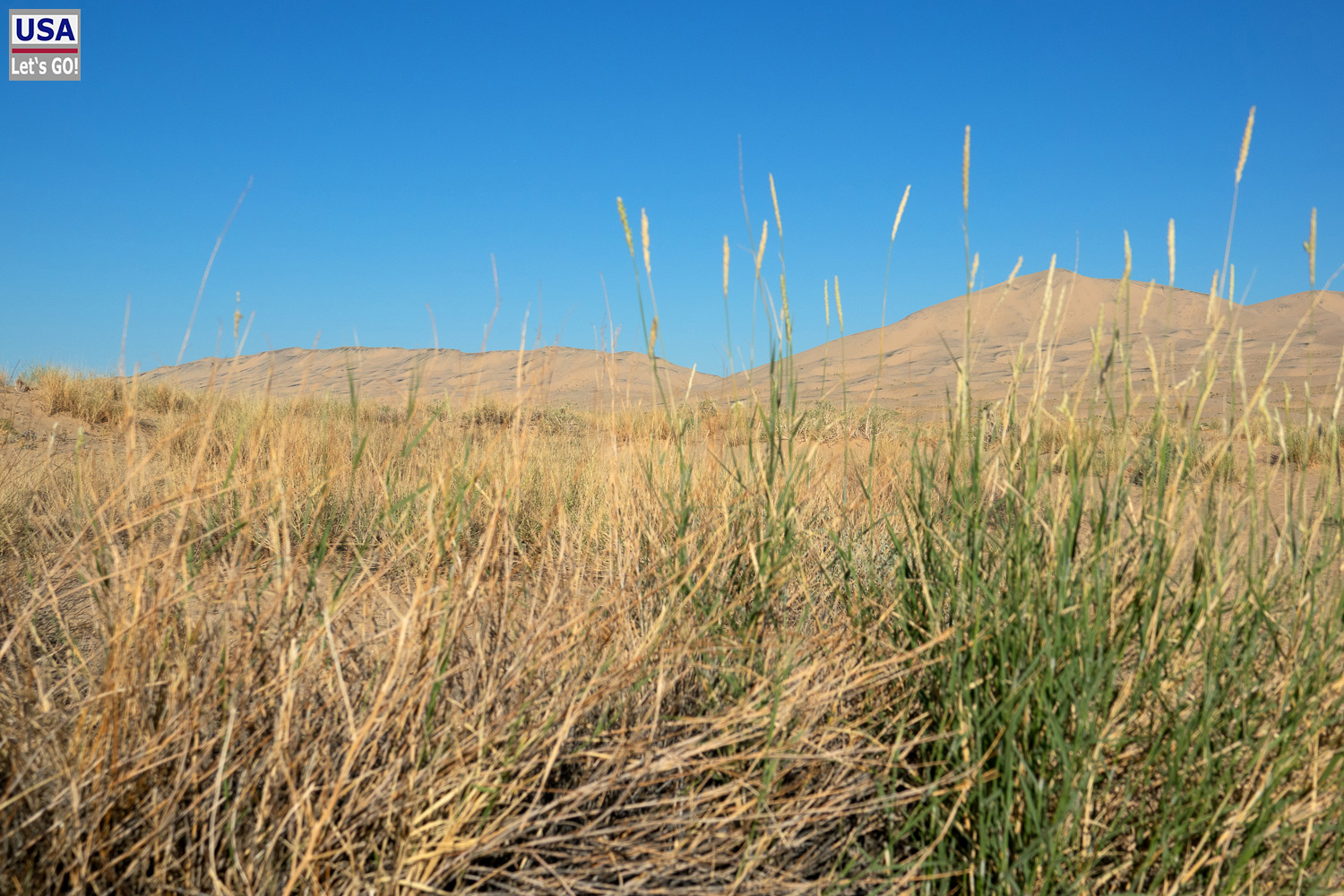 High Desert Tour 2022