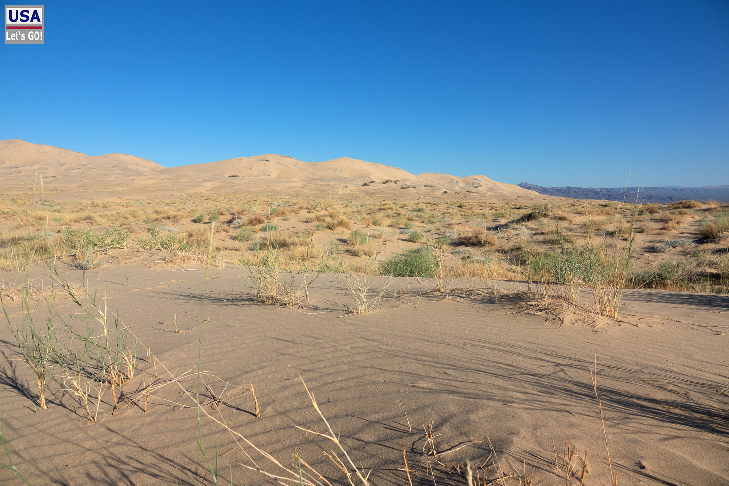 High Desert Tour 2022
