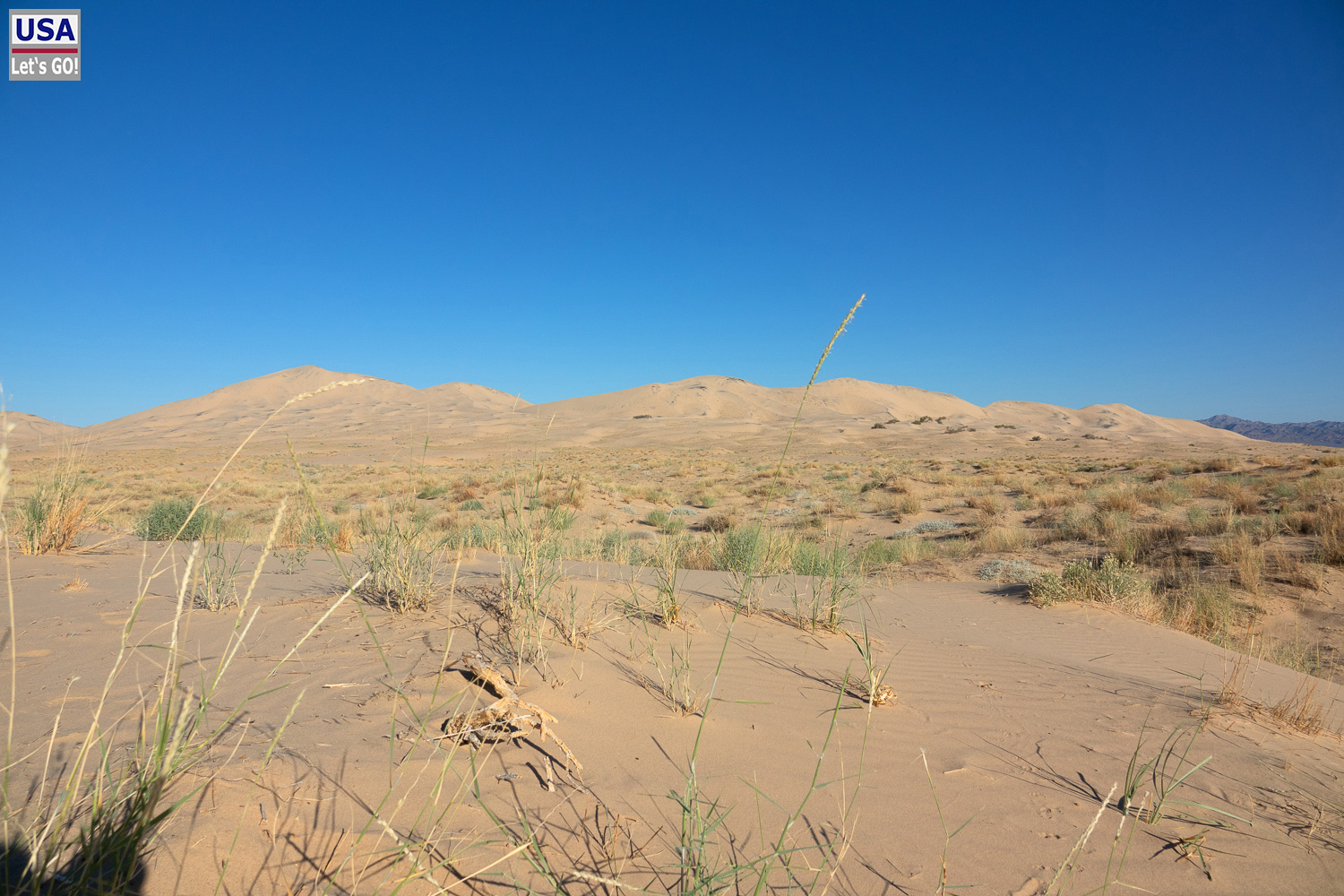 High Desert Tour 2022
