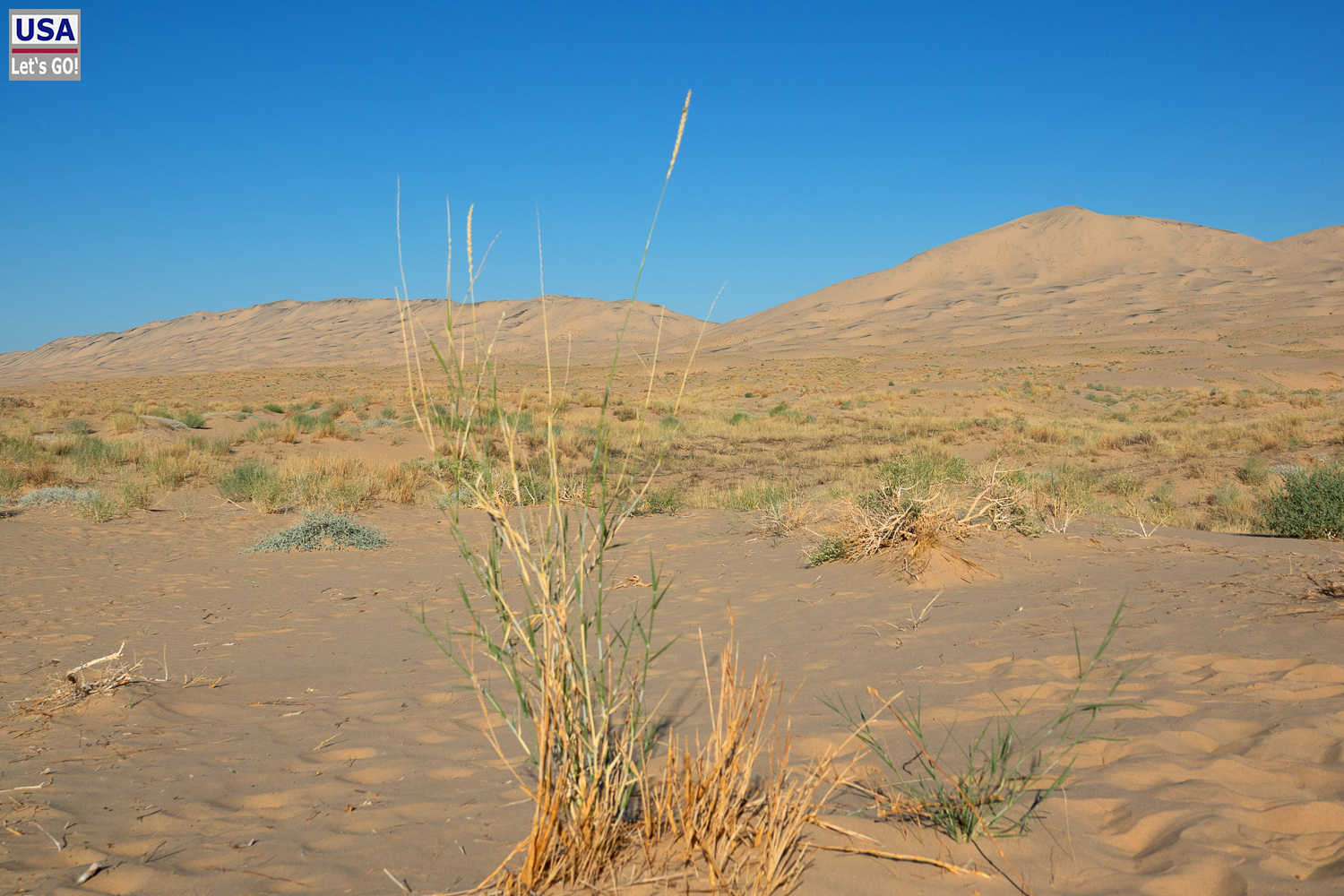High Desert Tour 2022
