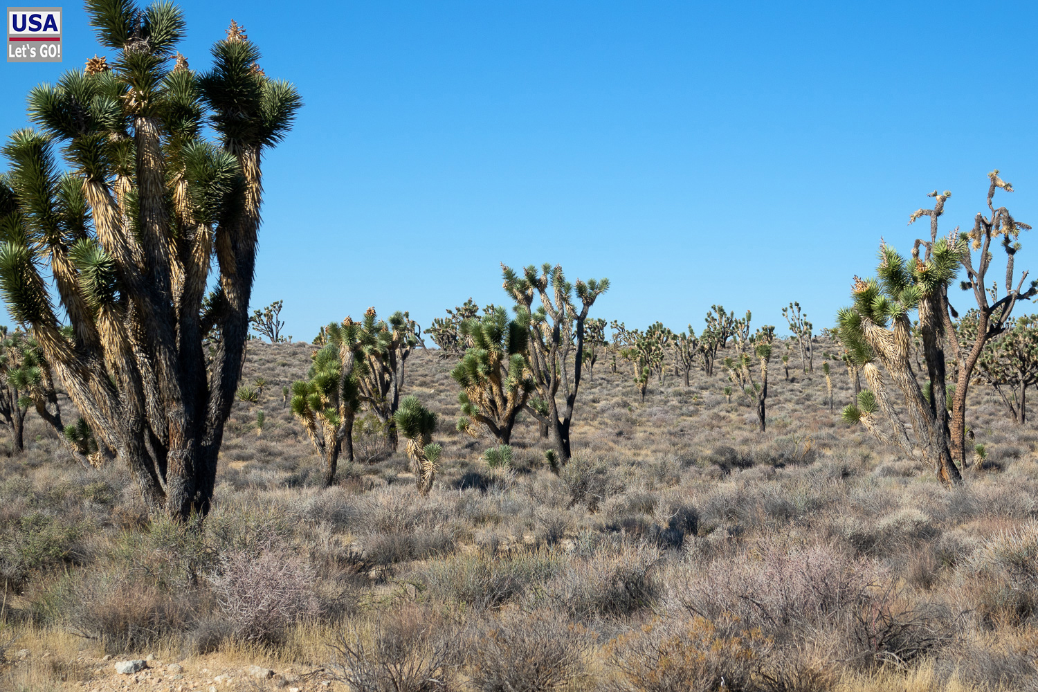 High Desert Tour 2022