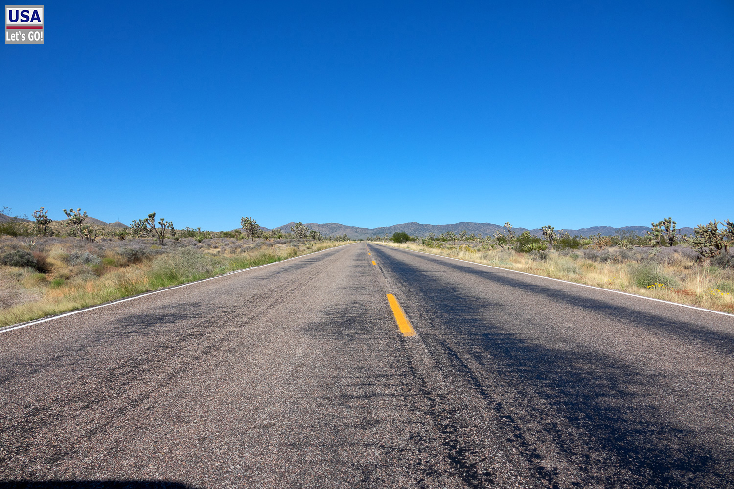 High Desert Tour 2022
