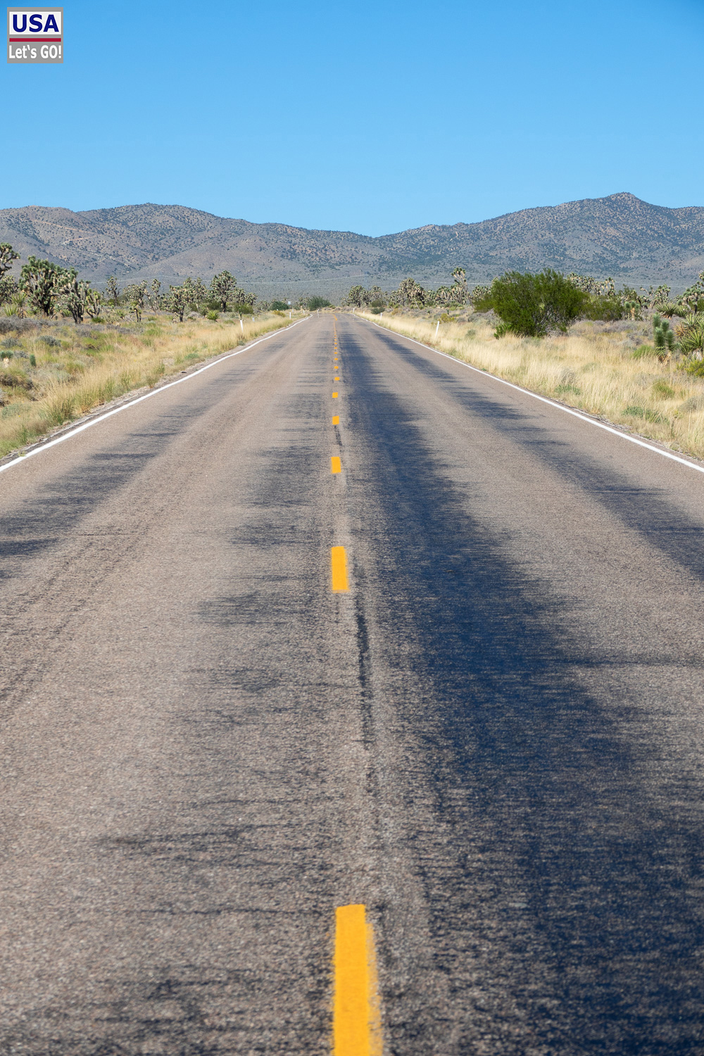 High Desert Tour 2022
