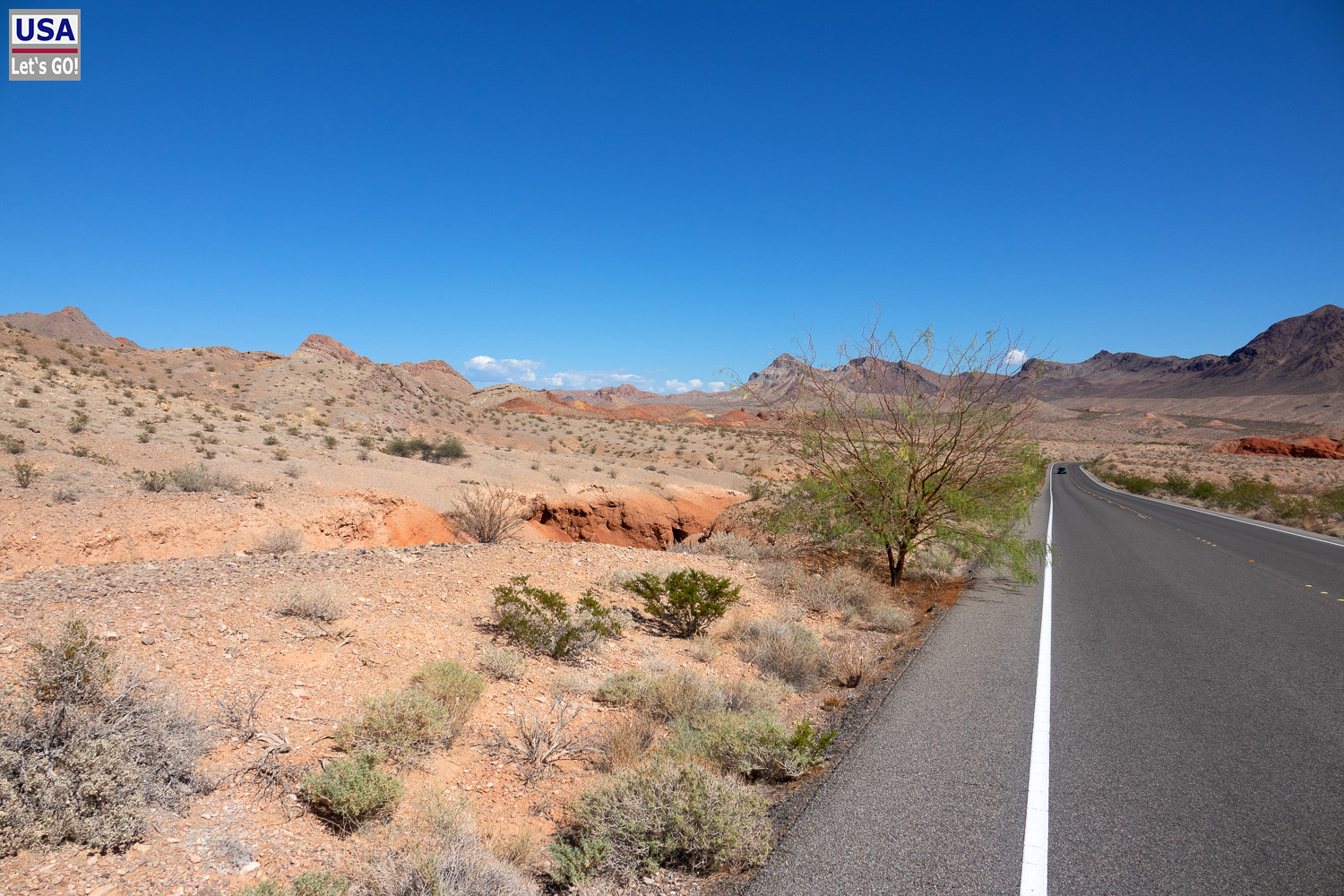 High Desert Tour 2022
