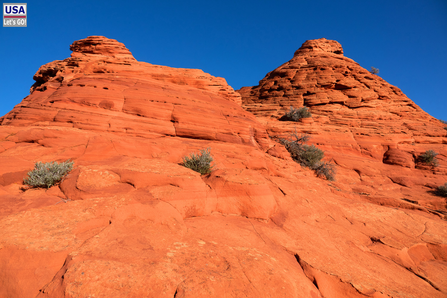 High Desert Tour 2022