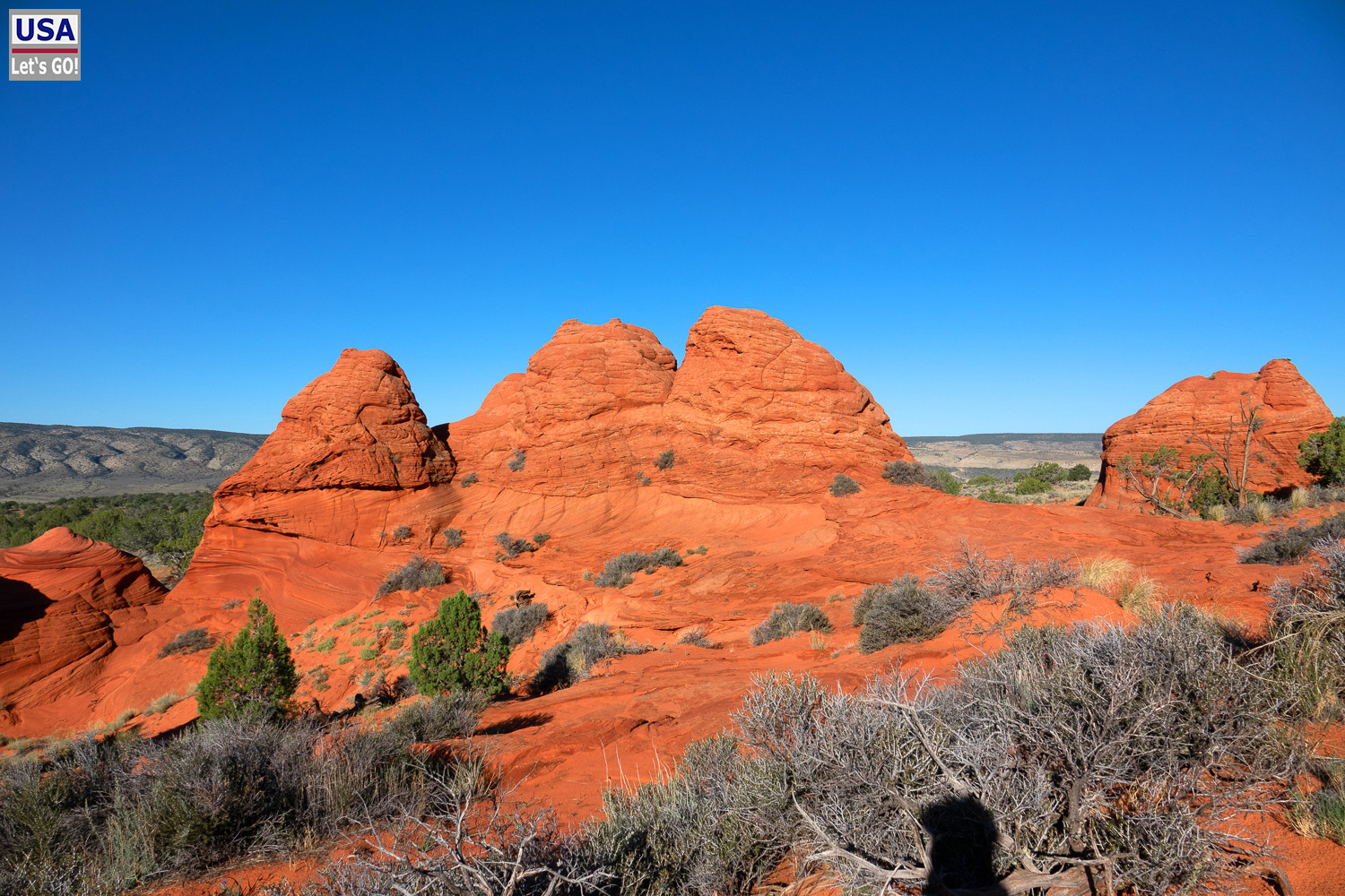 High Desert Tour 2022