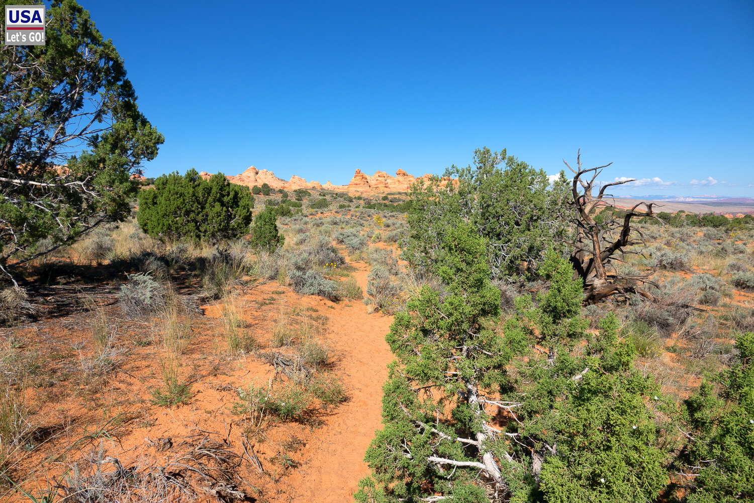 High Desert Tour 2022