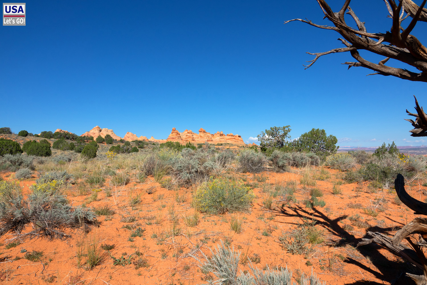 High Desert Tour 2022