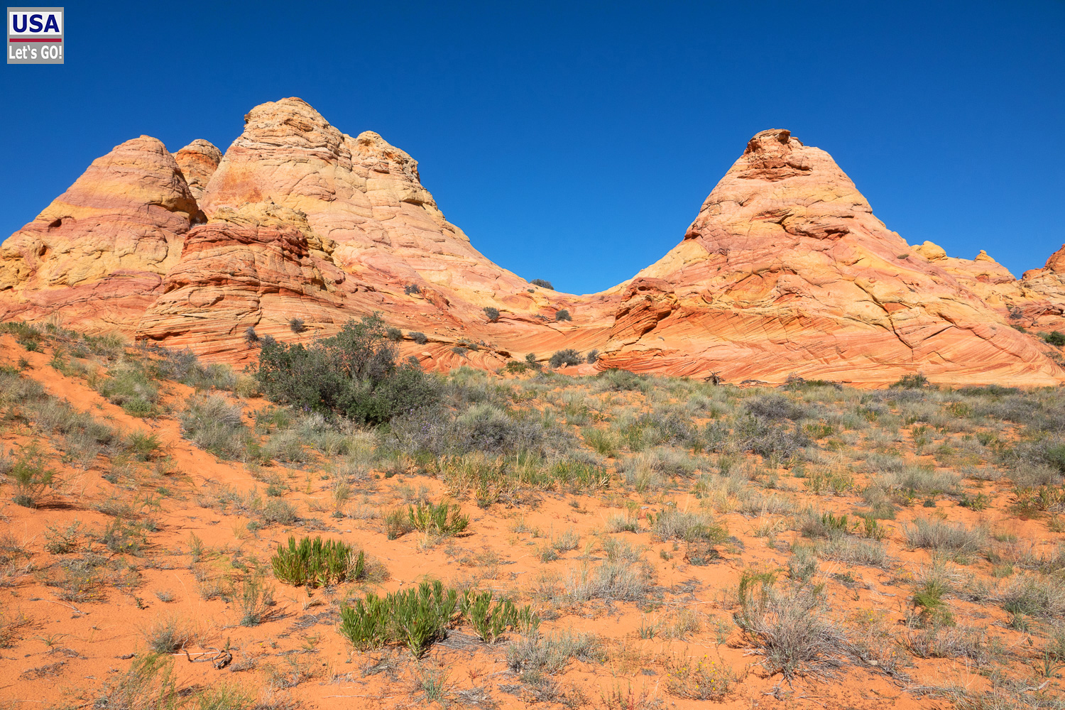 High Desert Tour 2022