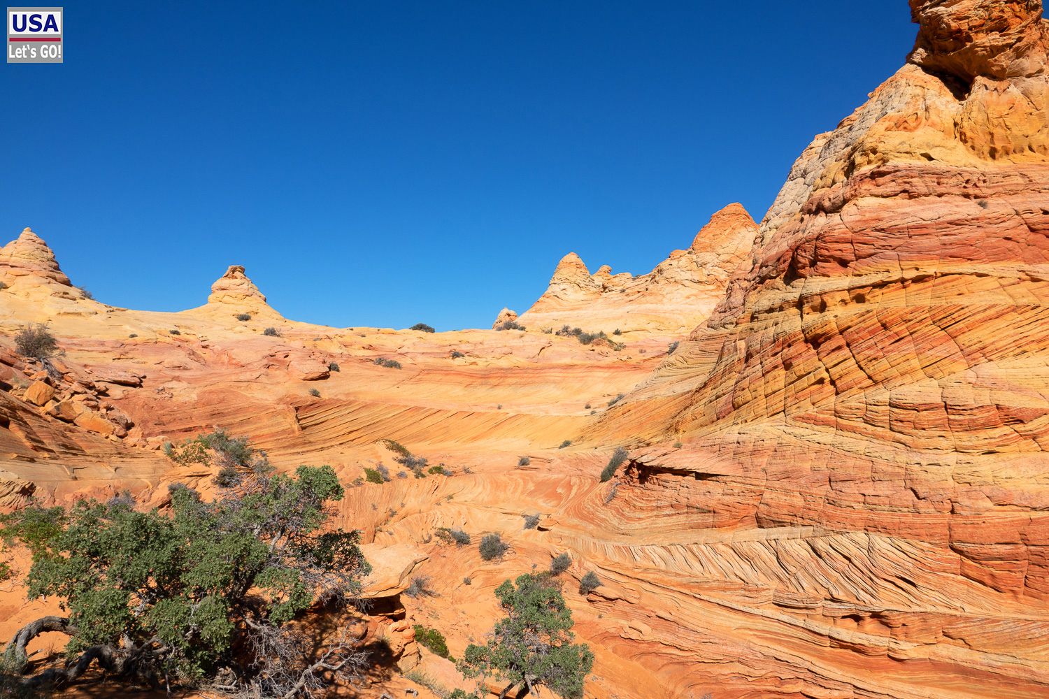 High Desert Tour 2022