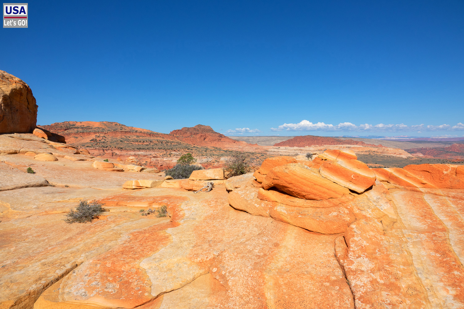 High Desert Tour 2022