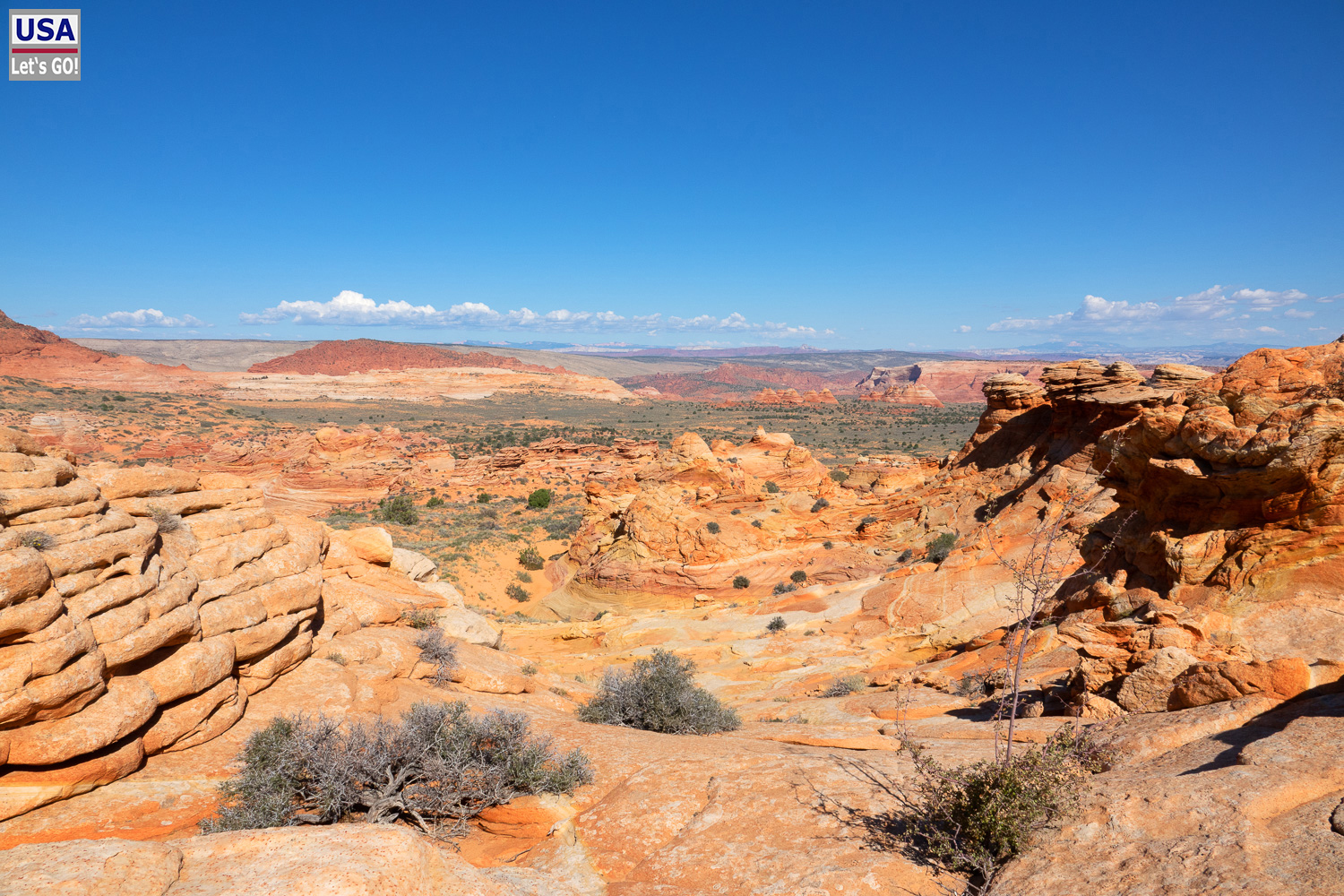 High Desert Tour 2022