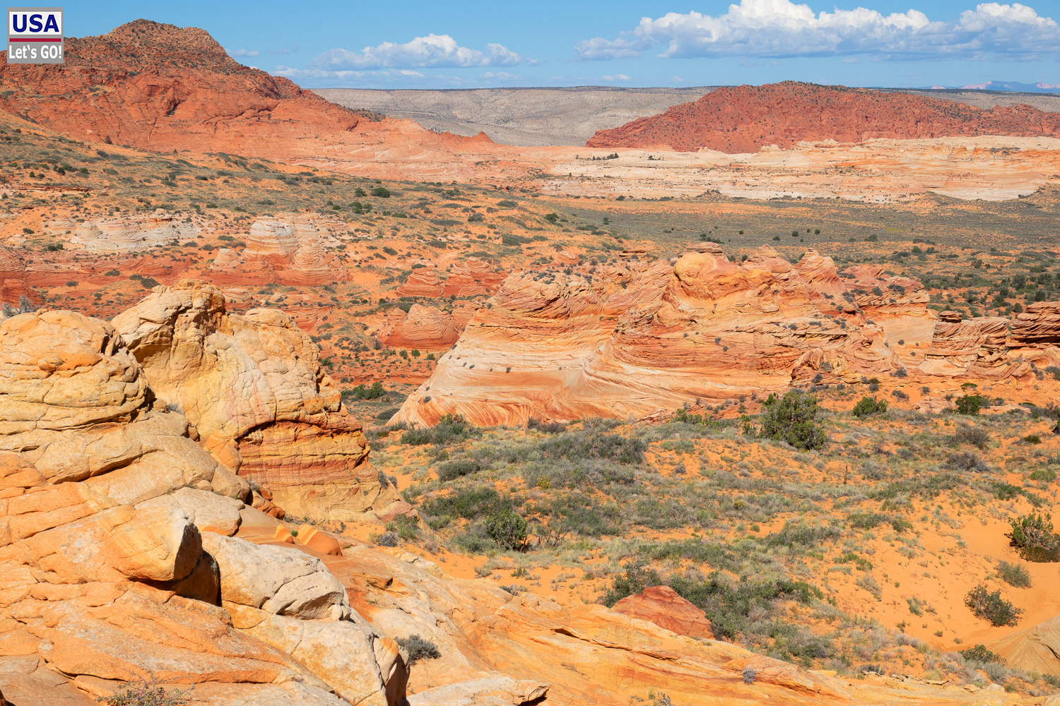 High Desert Tour 2022