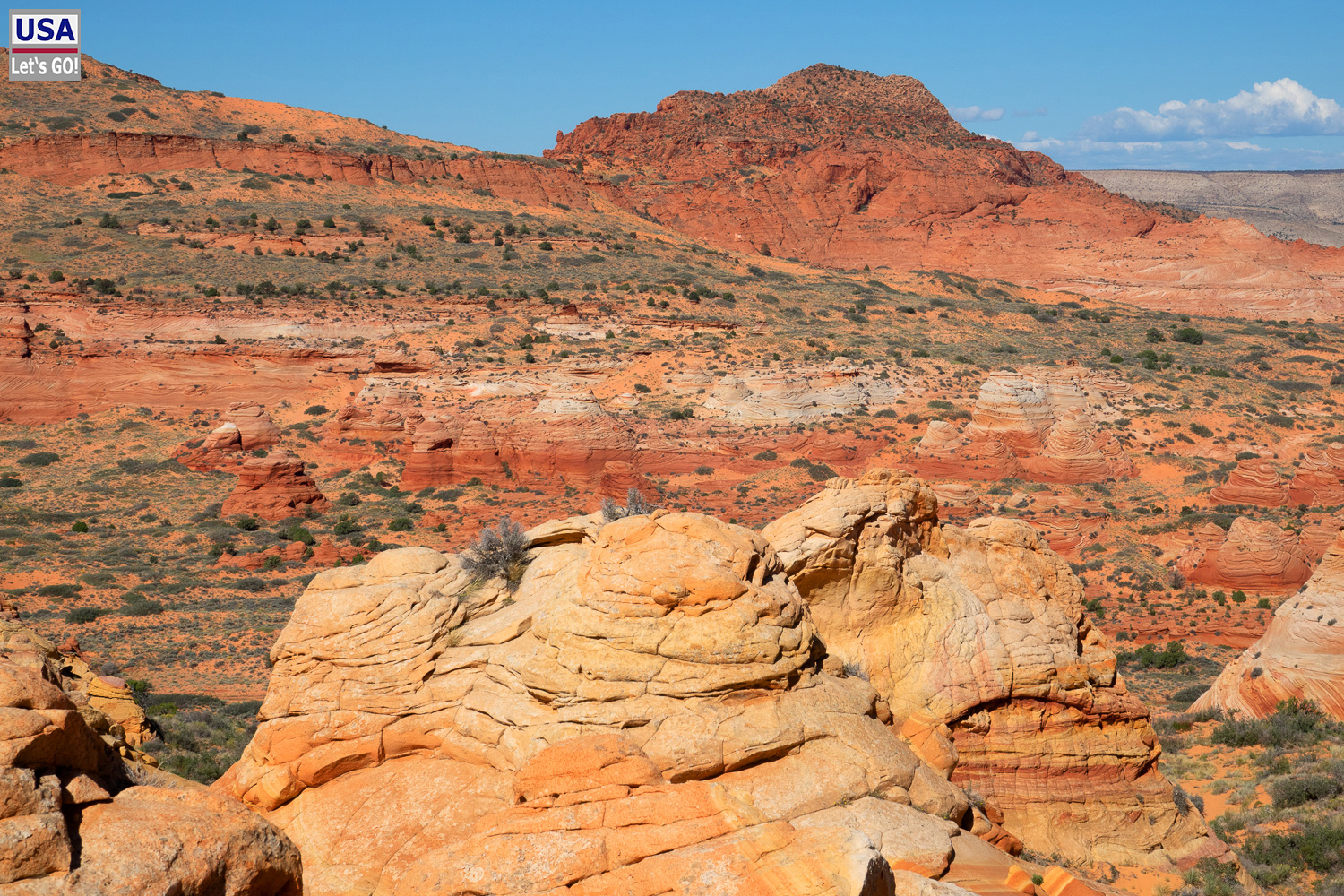 High Desert Tour 2022