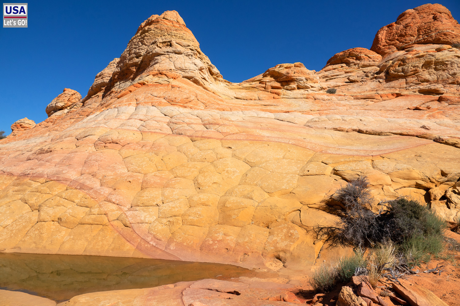 High Desert Tour 2022