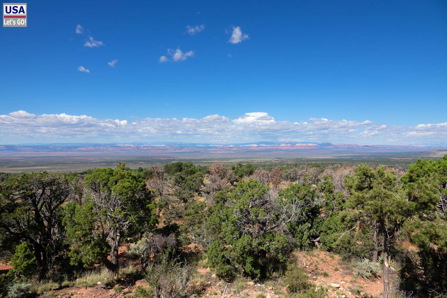 High Desert Tour 2022