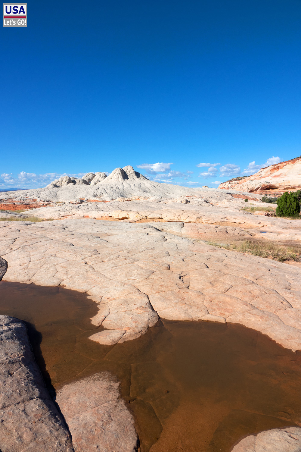 High Desert Tour 2022