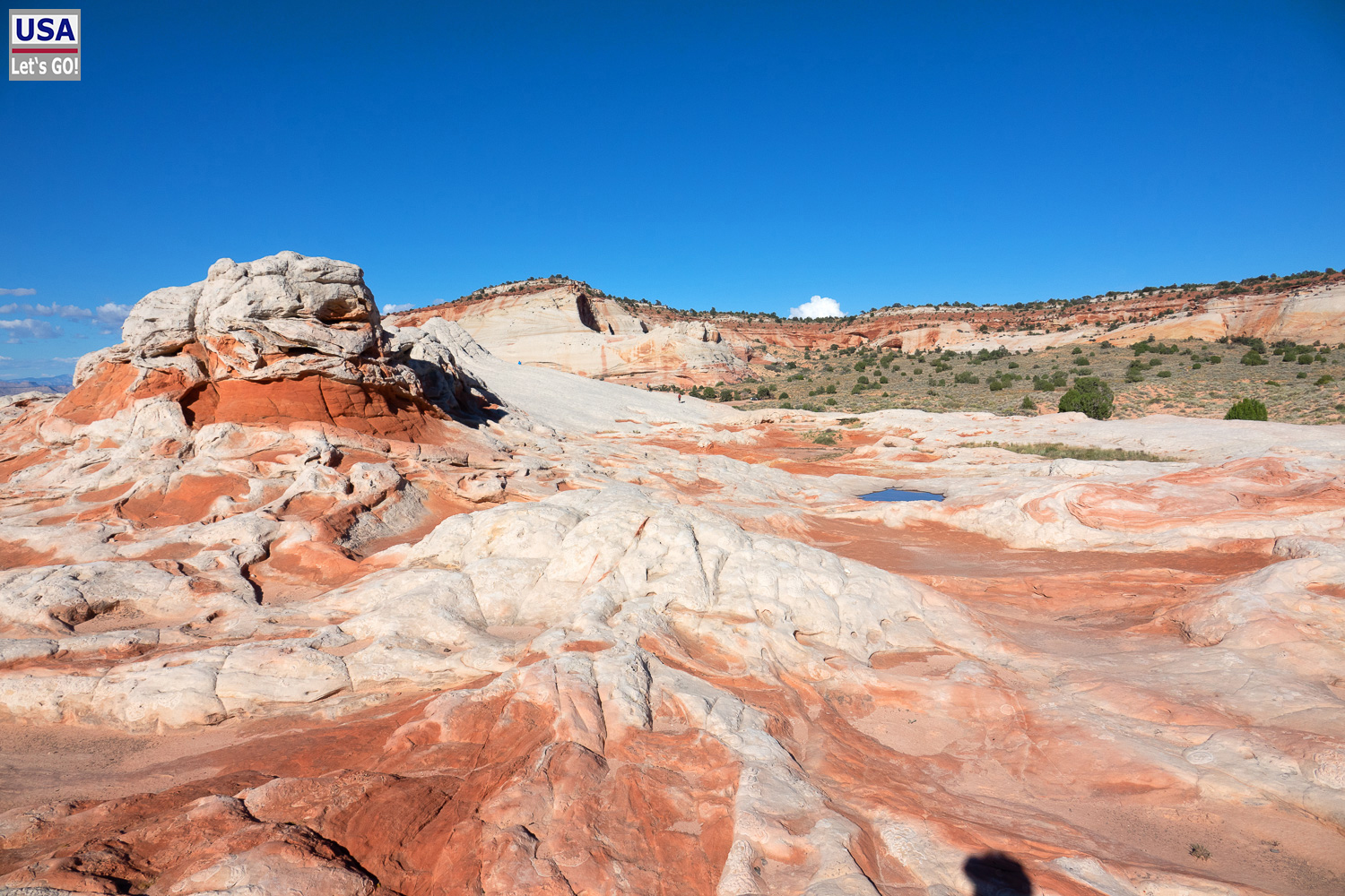 High Desert Tour 2022
