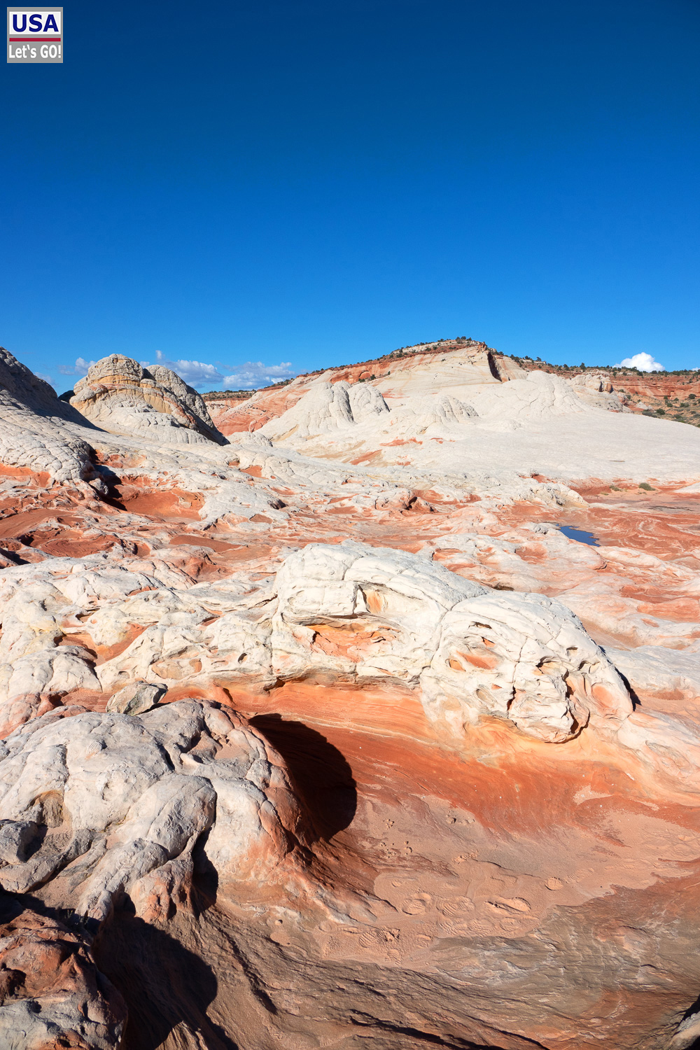 High Desert Tour 2022