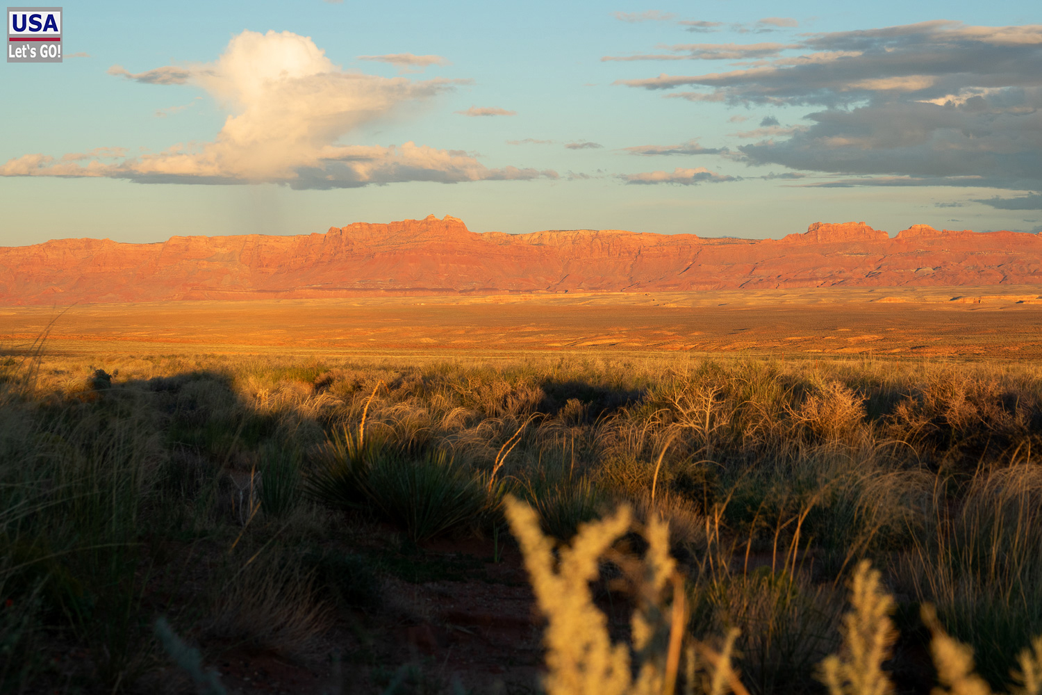 High Desert Tour 2022