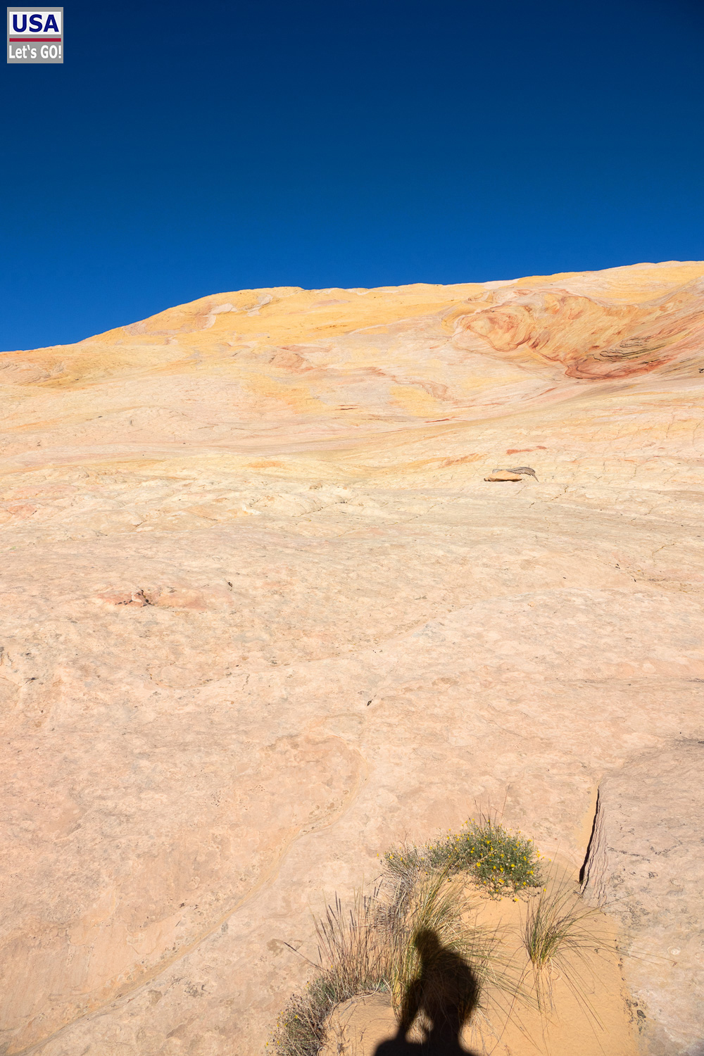 High Desert Tour 2022