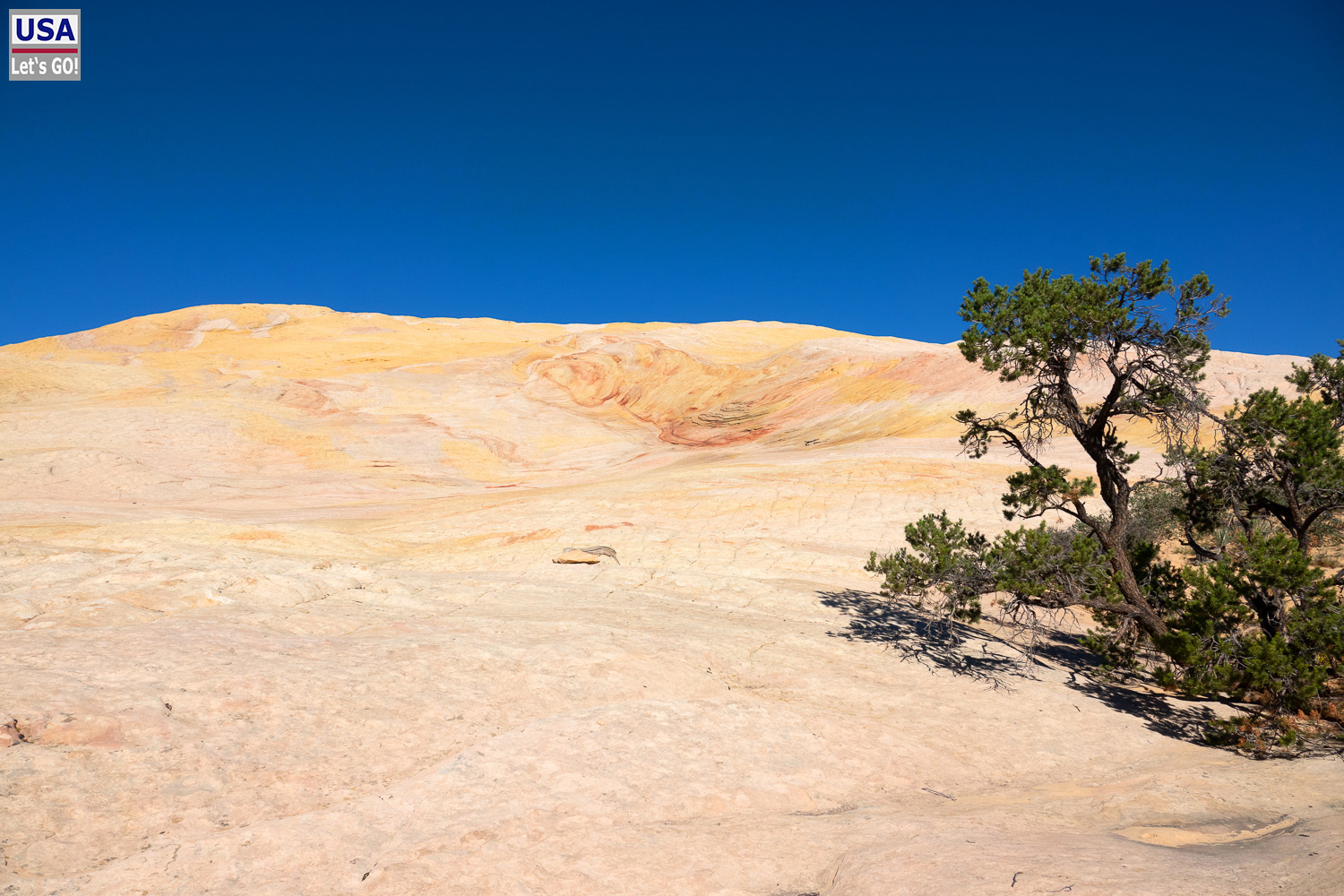 High Desert Tour 2022