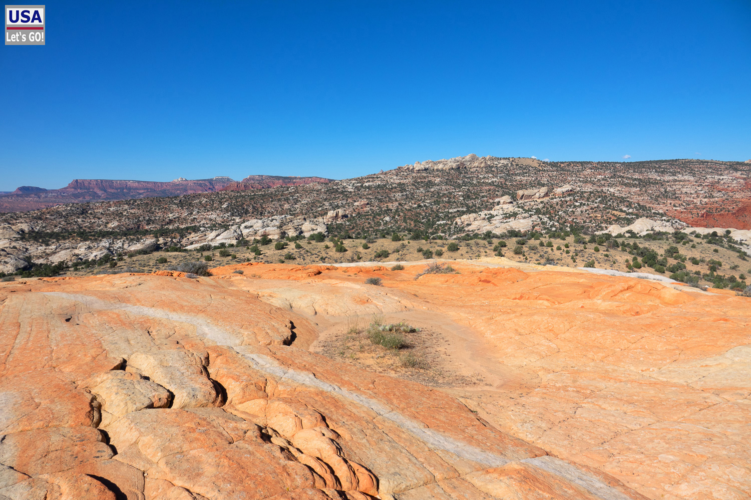 High Desert Tour 2022