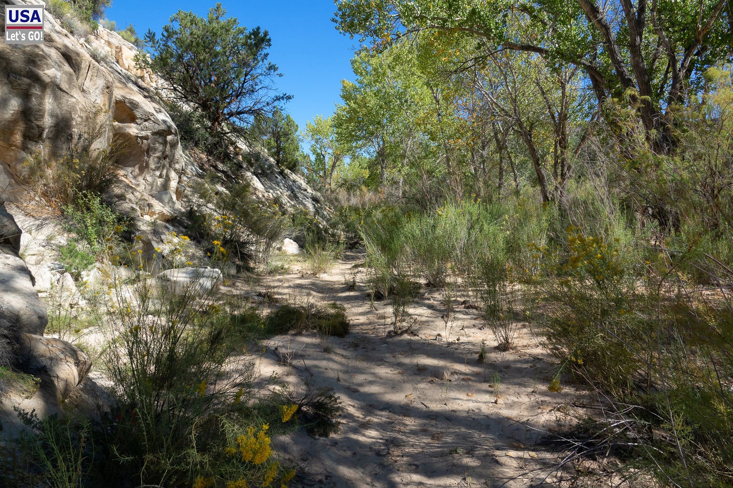 High Desert Tour 2022