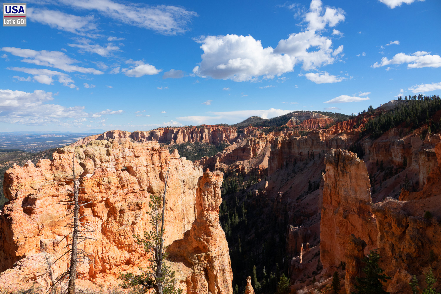 High Desert Tour 2022