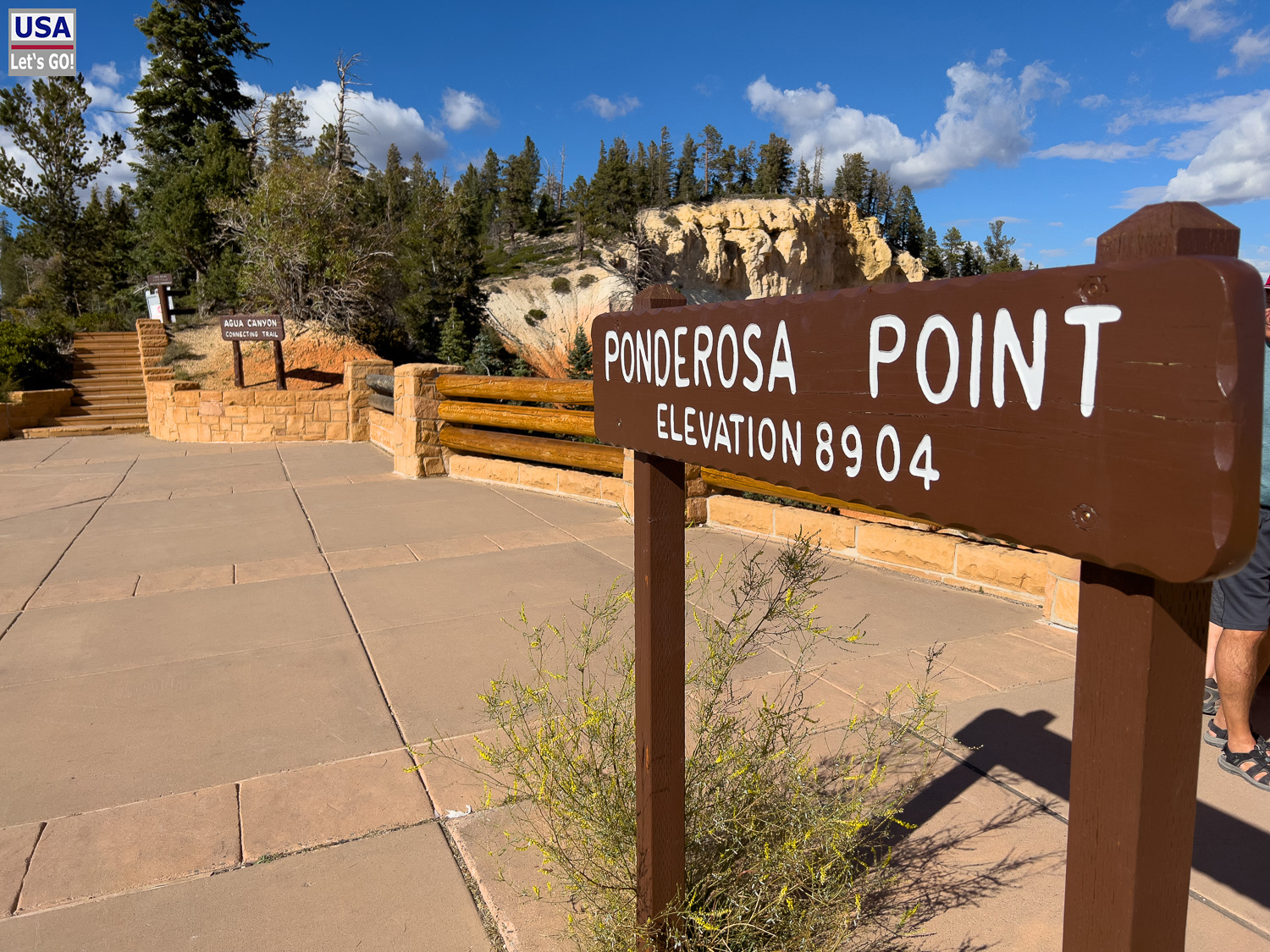 High Desert Tour 2022