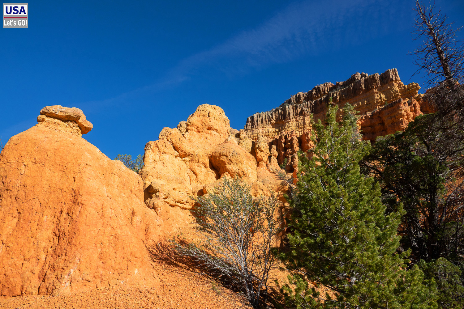 High Desert Tour 2022