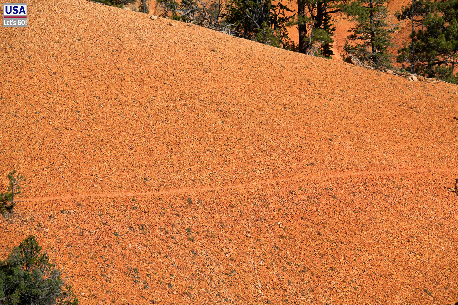 High Desert Tour 2022