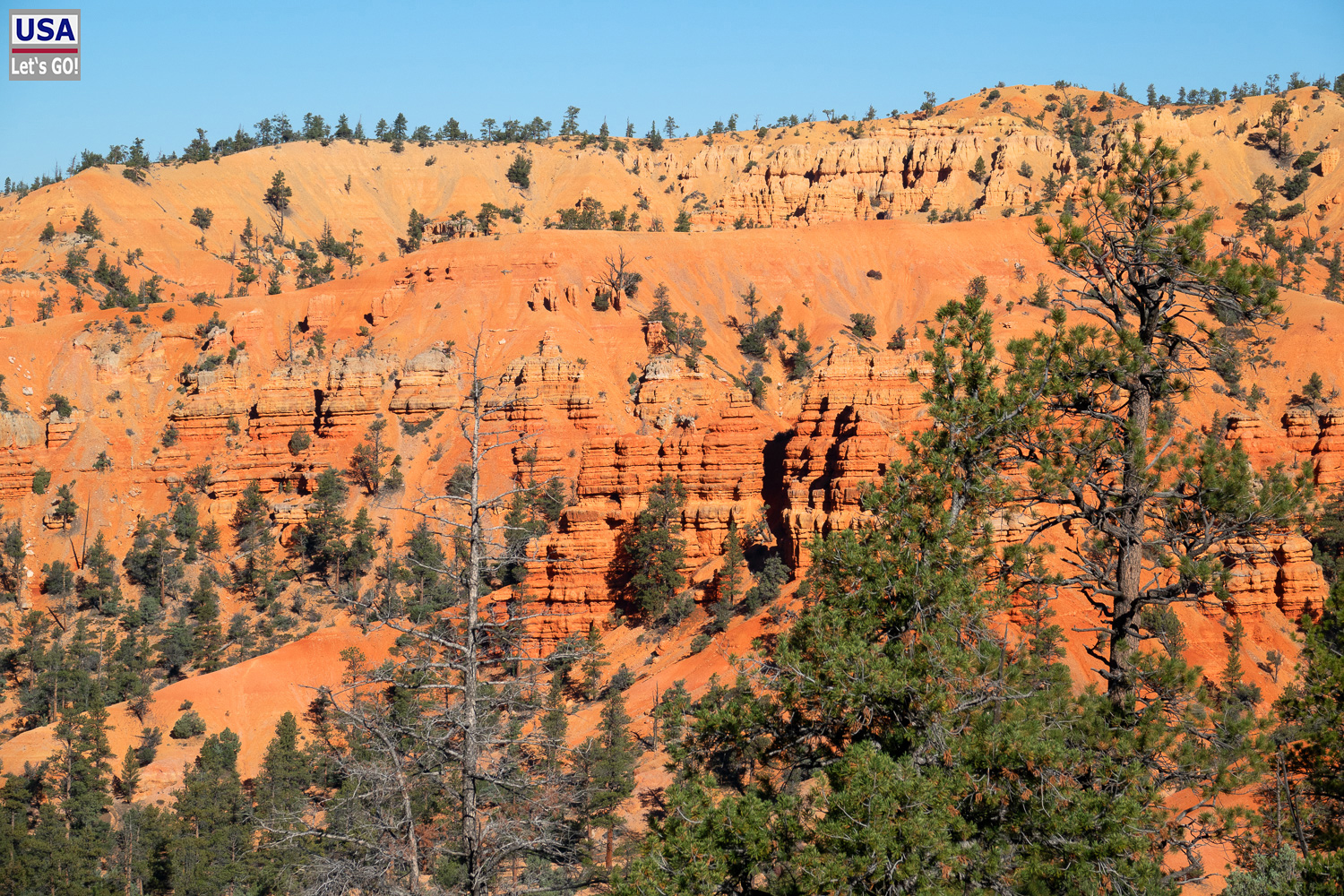 High Desert Tour 2022