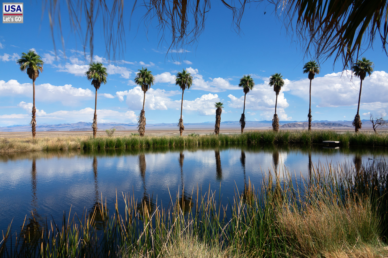 High Desert Tour 2022