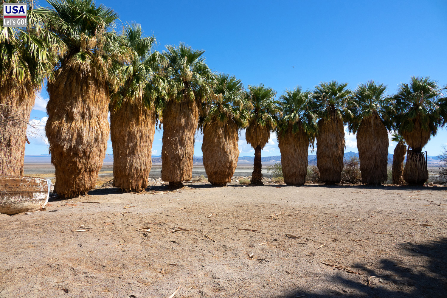 High Desert Tour 2022