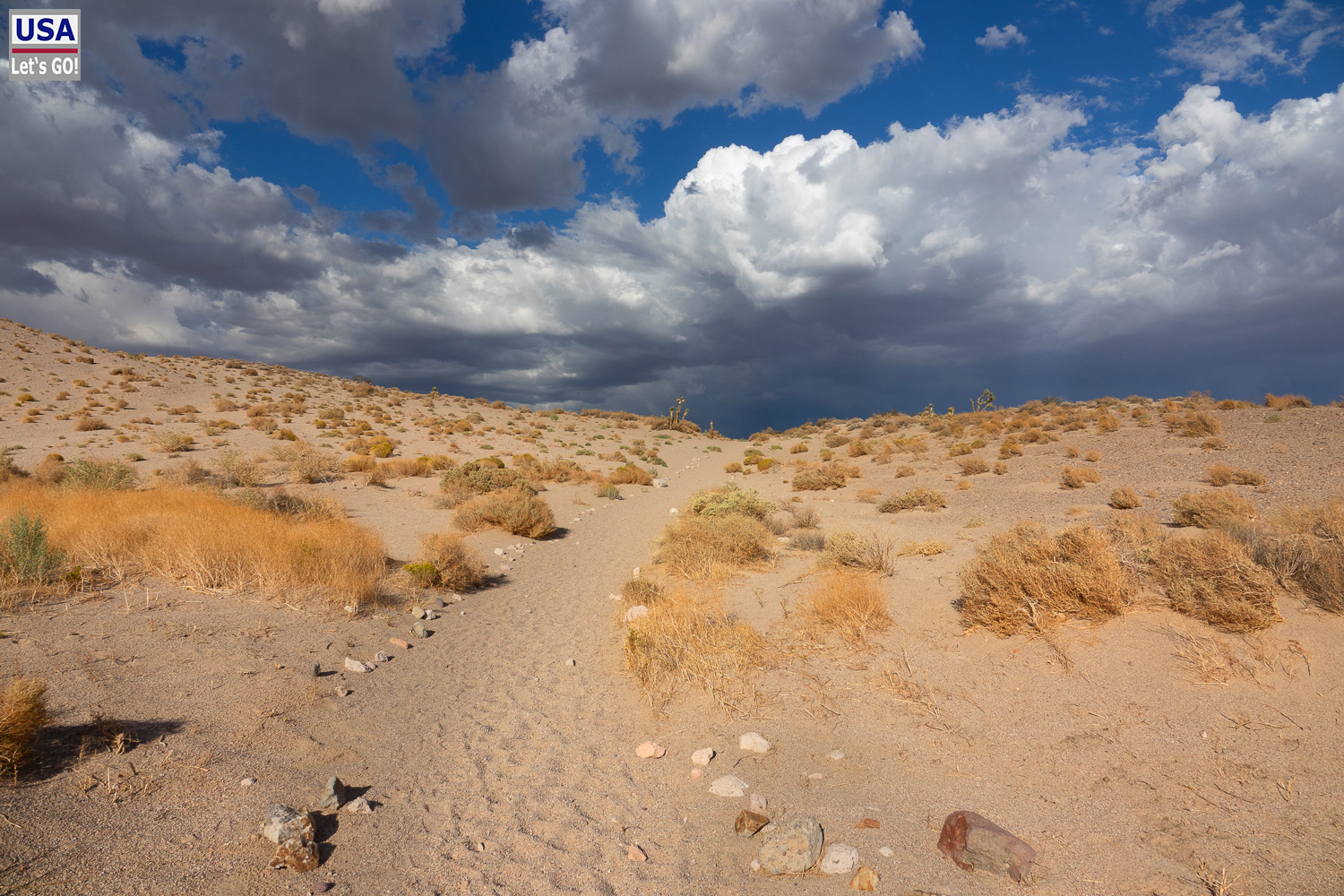 High Desert Tour 2022