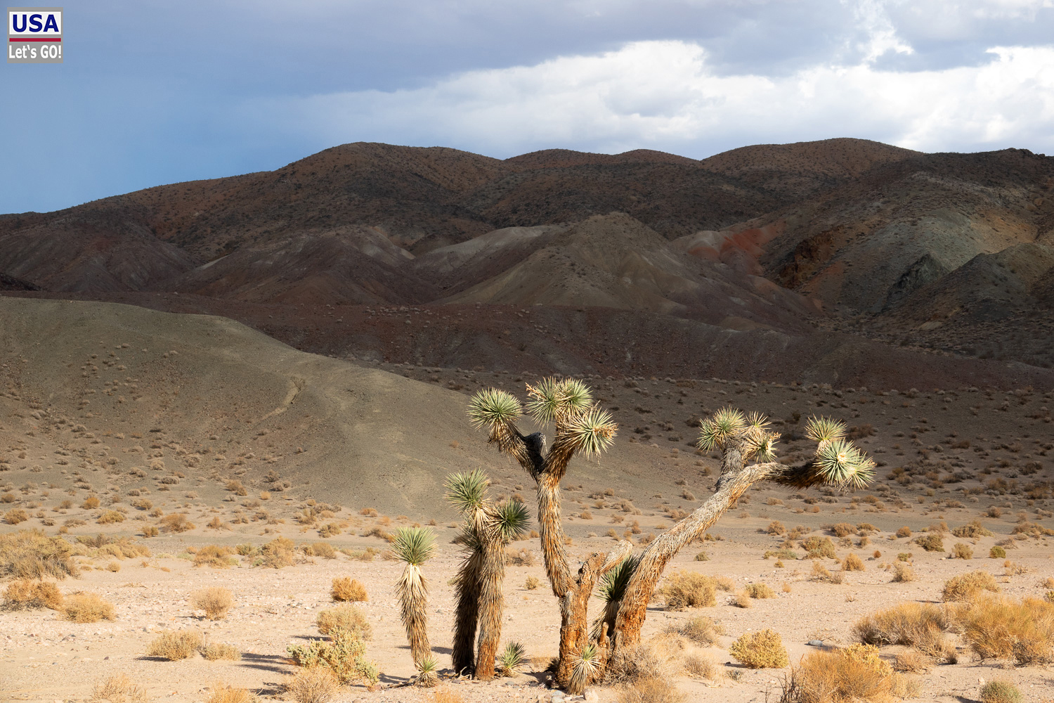 High Desert Tour 2022