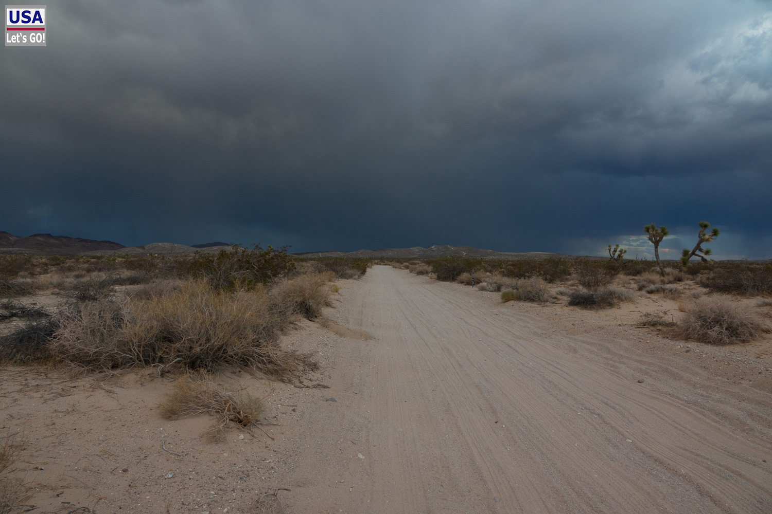 High Desert Tour 2022