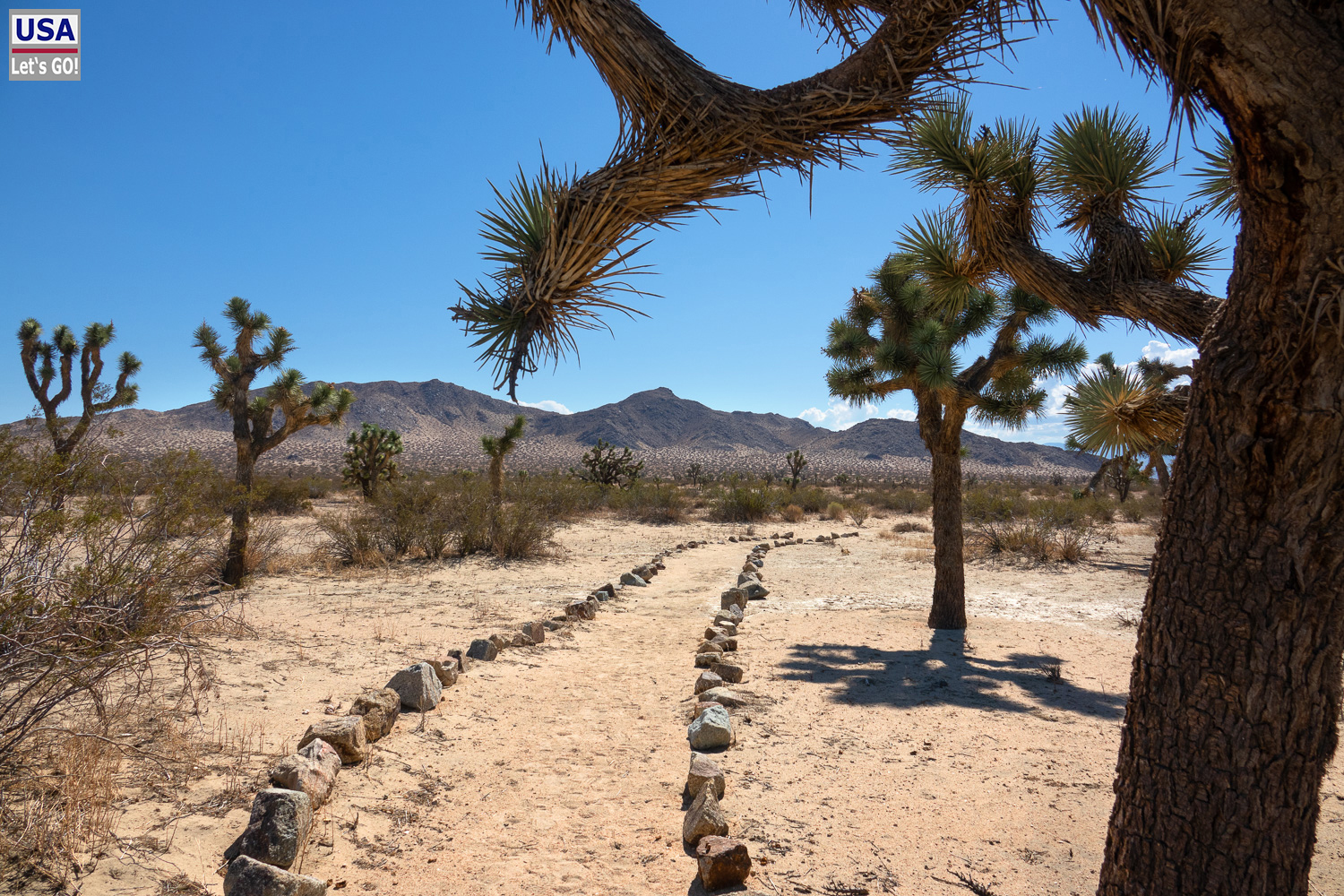 High Desert Tour 2022