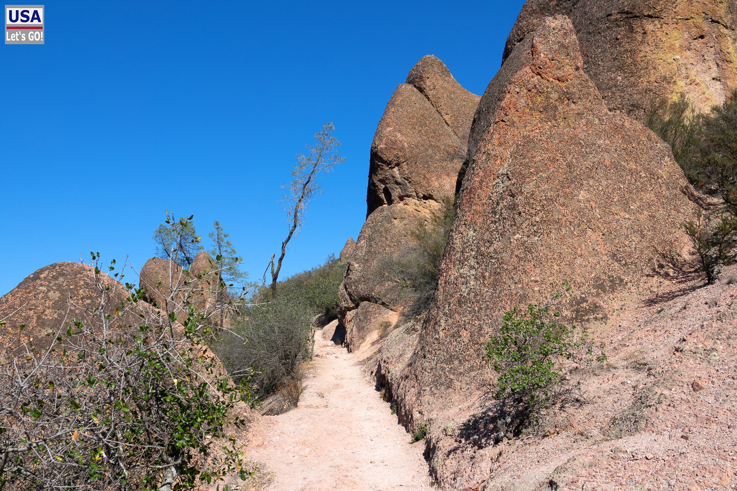 High Desert Tour 2022