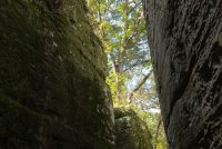Giant City State Park (IL)