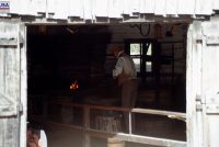 New Salem State Historic Site (IL)